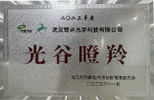 光谷瞪羚企业